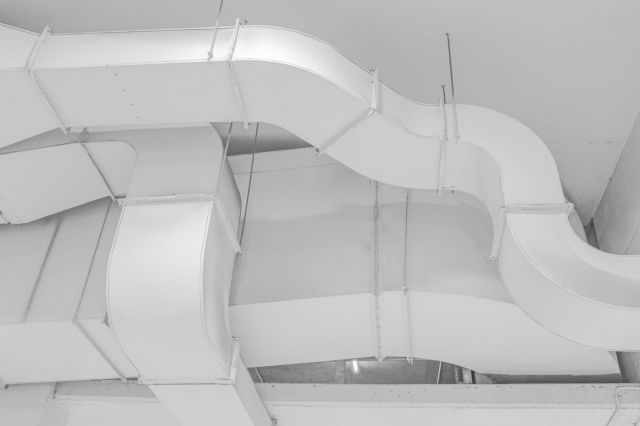 Mitchell luo R Ali Dqg J Kb E unsplash